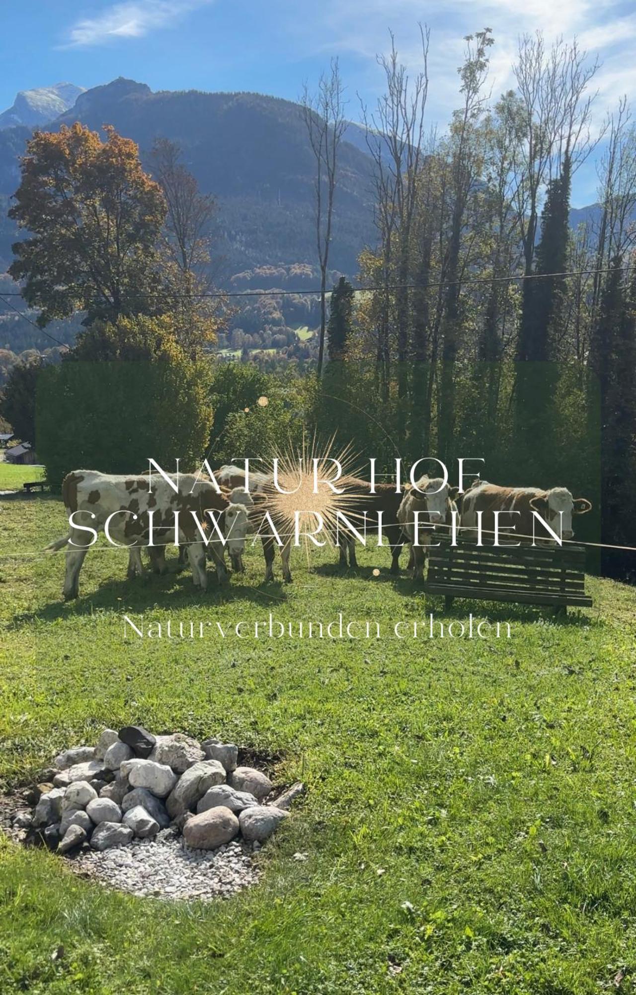Apartment Hof Schwarnlehen Berchtesgaden
